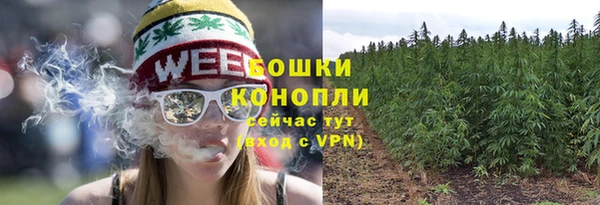 гидра Михайловка